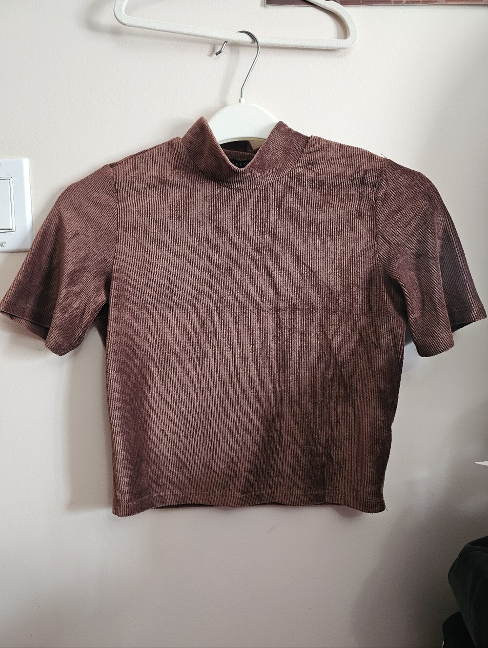 Streetwear Society Dusty Rose Turtleneck Crop Top Shirt